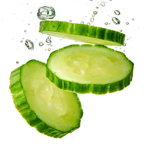 cucumber